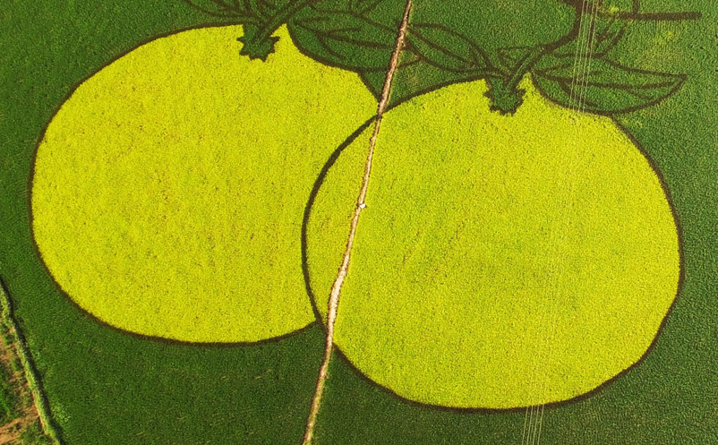 1739759132581