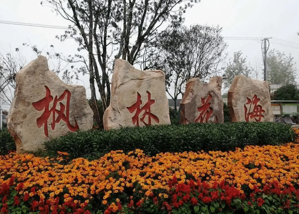 huahai