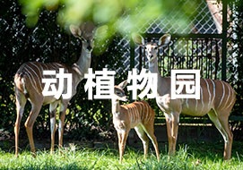 动植物园
