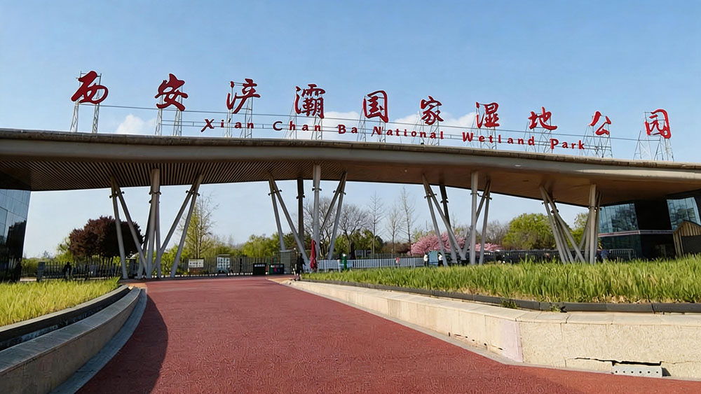 西安浐灞飞越丛林探险乐园×安信游:票务消费一体化升级,解锁湿地丛林潮玩新体验 1 票务