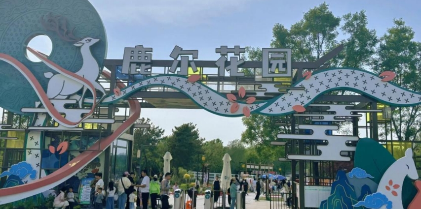 鹿尔